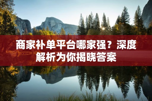 商家补单平台哪家强？深度解析为你揭晓答案