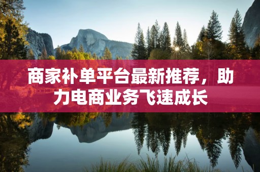 商家补单平台最新推荐，助力电商业务飞速成长