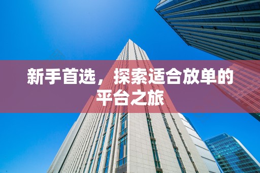 新手首选，探索适合放单的平台之旅