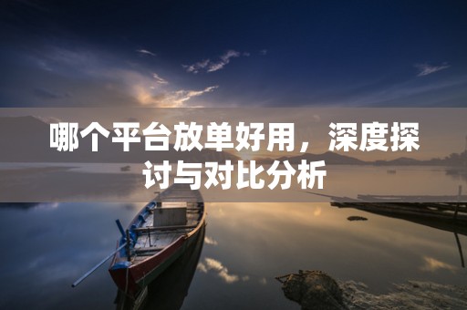 哪个平台放单好用，深度探讨与对比分析