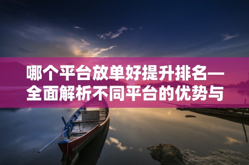 哪个平台放单好提升排名—全面解析不同平台的优势与策略