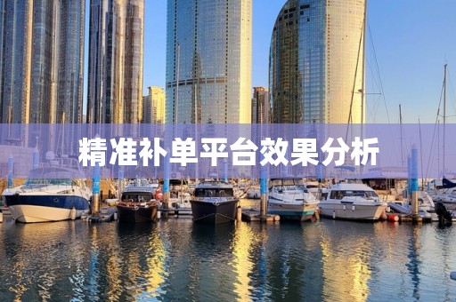 精准补单平台效果分析
