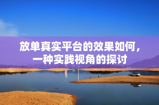 放单真实平台的效果如何，一种实践视角的探讨