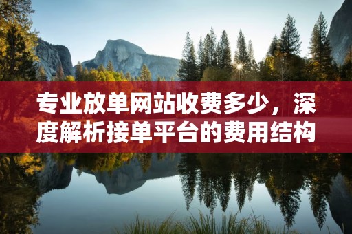 专业放单网站收费多少，深度解析接单平台的费用结构