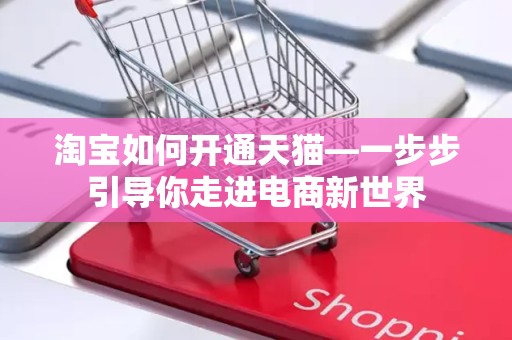 淘宝如何开通天猫—一步步引导你走进电商新世界