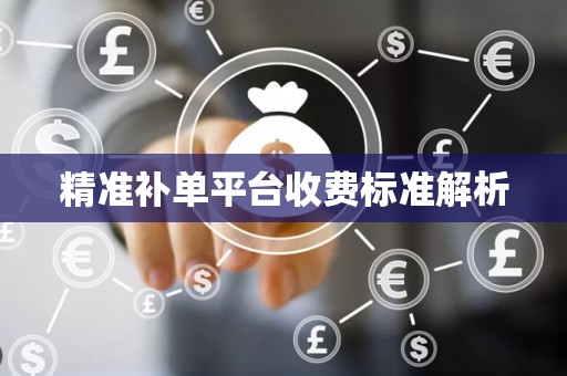 精准补单平台收费标准解析
