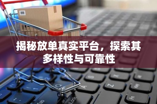 揭秘放单真实平台，探索其多样性与可靠性