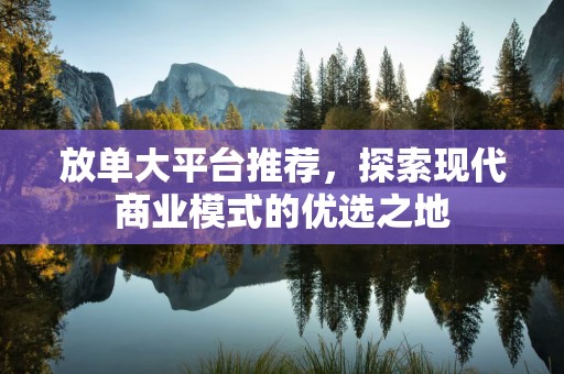 放单大平台推荐，探索现代商业模式的优选之地