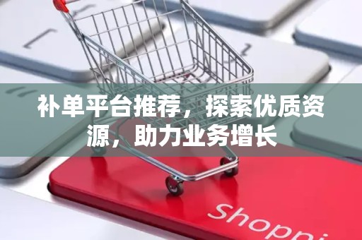 补单平台推荐，探索优质资源，助力业务增长