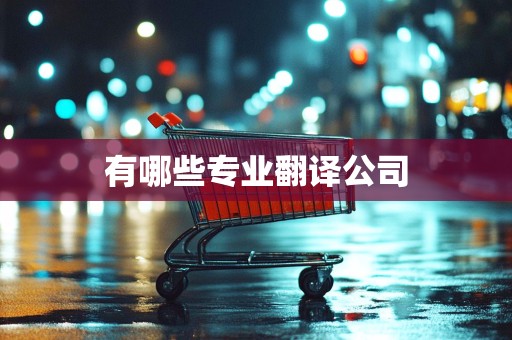 有哪些专业翻译公司
