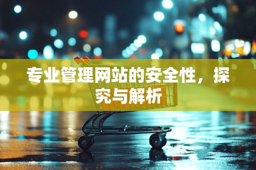 专业管理网站的安全性，探究与解析