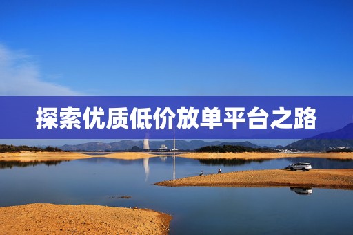 探索优质低价放单平台之路