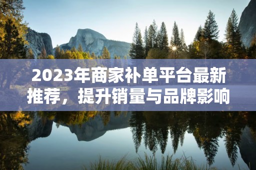 2023年商家补单平台最新推荐，提升销量与品牌影响力的利器