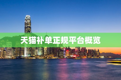 天猫补单正规平台概览