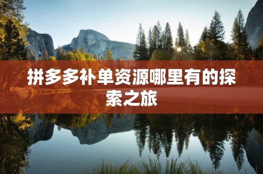 拼多多补单资源哪里有的探索之旅
