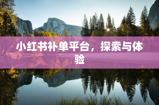 小红书补单平台，探索与体验