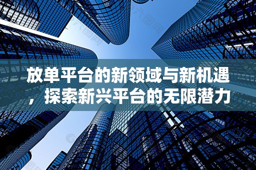 放单平台的新领域与新机遇，探索新兴平台的无限潜力