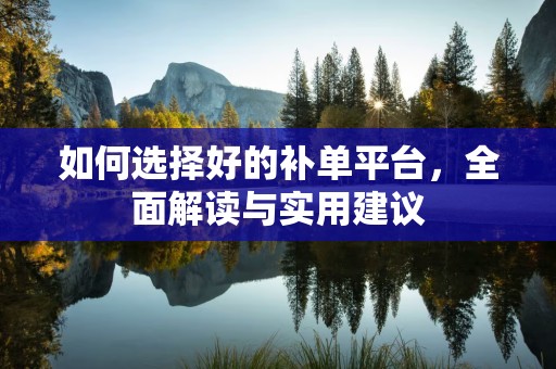 如何选择好的补单平台，全面解读与实用建议