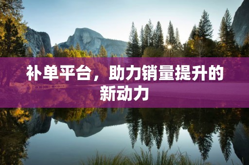 补单平台，助力销量提升的新动力