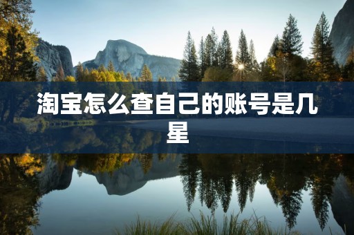 淘宝怎么查自己的账号是几星