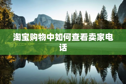 淘宝购物中如何查看卖家电话