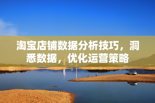 淘宝店铺数据分析技巧，洞悉数据，优化运营策略