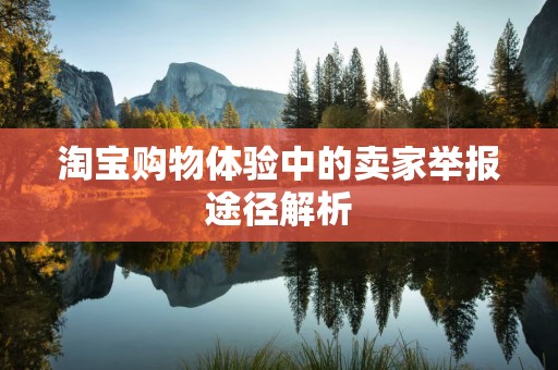 淘宝购物体验中的卖家举报途径解析