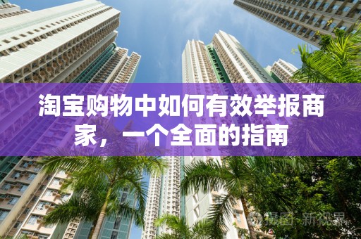 淘宝购物中如何有效举报商家，一个全面的指南