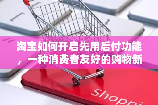 淘宝如何开启先用后付功能，一种消费者友好的购物新体验
