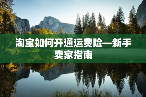 淘宝如何开通运费险—新手卖家指南