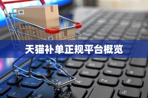 天猫补单正规平台概览