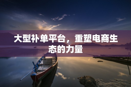 大型补单平台，重塑电商生态的力量