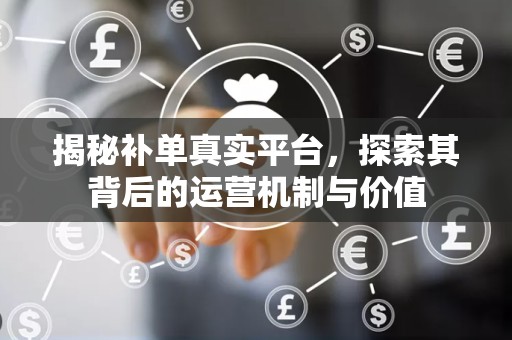 揭秘补单真实平台，探索其背后的运营机制与价值