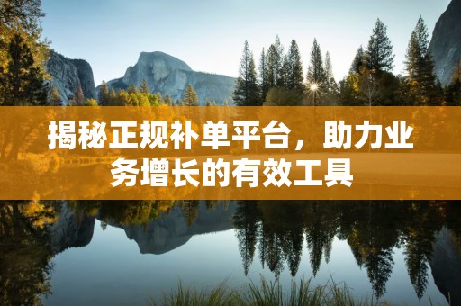 揭秘正规补单平台，助力业务增长的有效工具