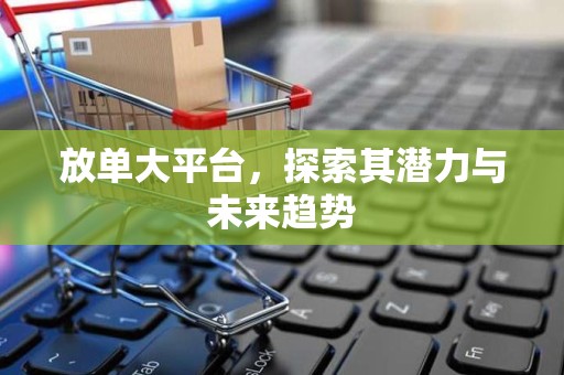 放单大平台，探索其潜力与未来趋势
