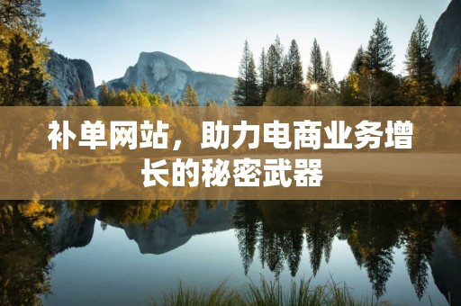 补单网站，助力电商业务增长的秘密武器