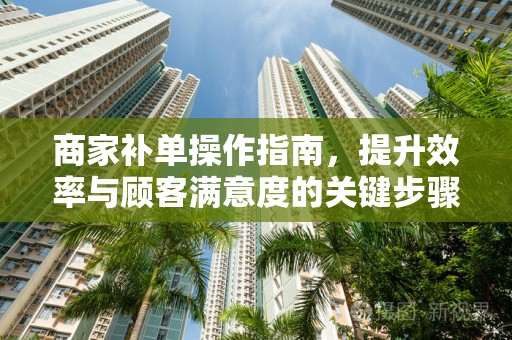 商家补单操作指南，提升效率与顾客满意度的关键步骤