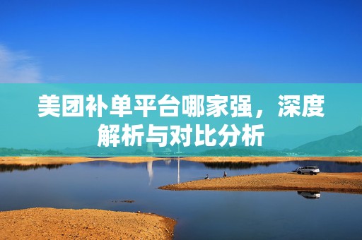 美团补单平台哪家强，深度解析与对比分析
