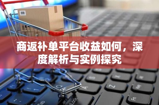 商返补单平台收益如何，深度解析与实例探究