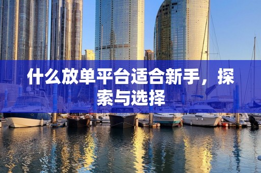 什么放单平台适合新手，探索与选择