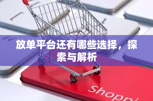 放单平台还有哪些选择，探索与解析
