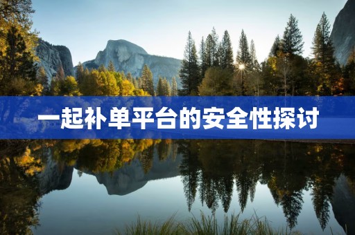 一起补单平台的安全性探讨