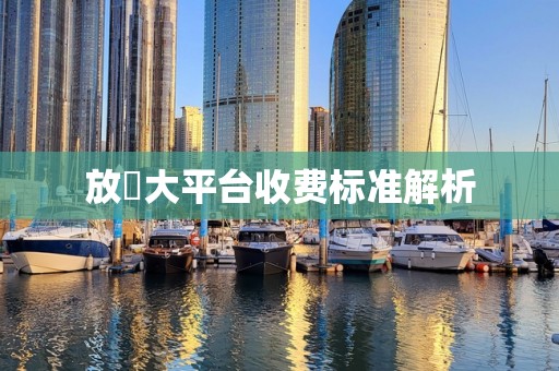 放單大平台收费标准解析