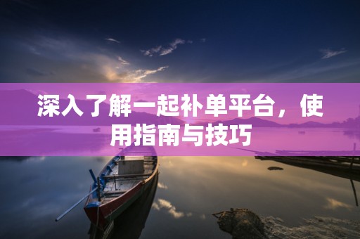 深入了解一起补单平台，使用指南与技巧