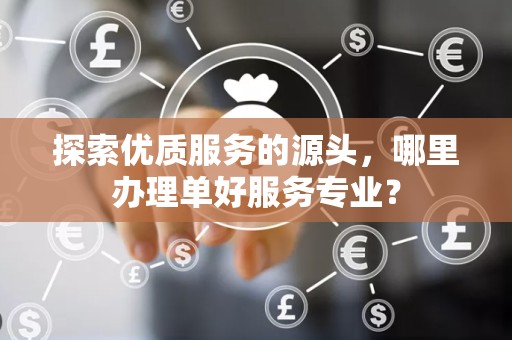 探索优质服务的源头，哪里办理单好服务专业？