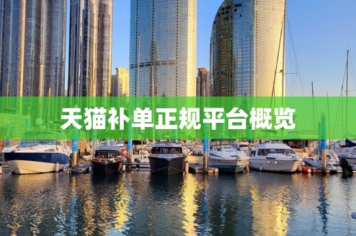 天猫补单正规平台概览