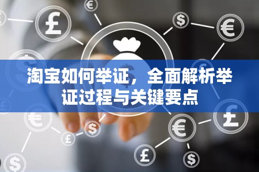 淘宝如何举证，全面解析举证过程与关键要点