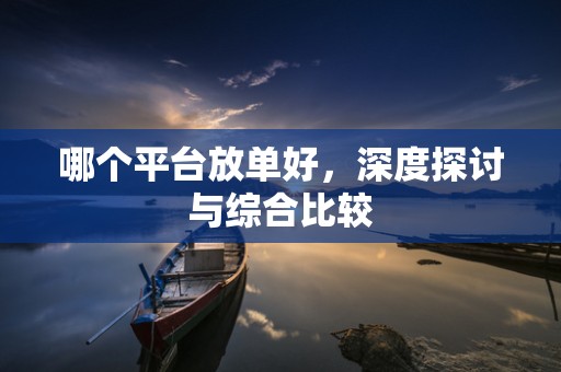哪个平台放单好，深度探讨与综合比较