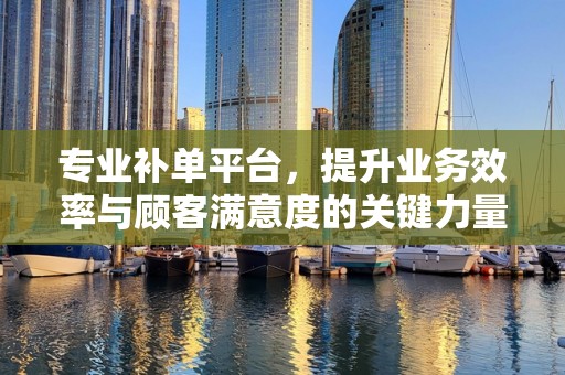 专业补单平台，提升业务效率与顾客满意度的关键力量