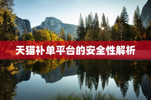 天猫补单平台的安全性解析